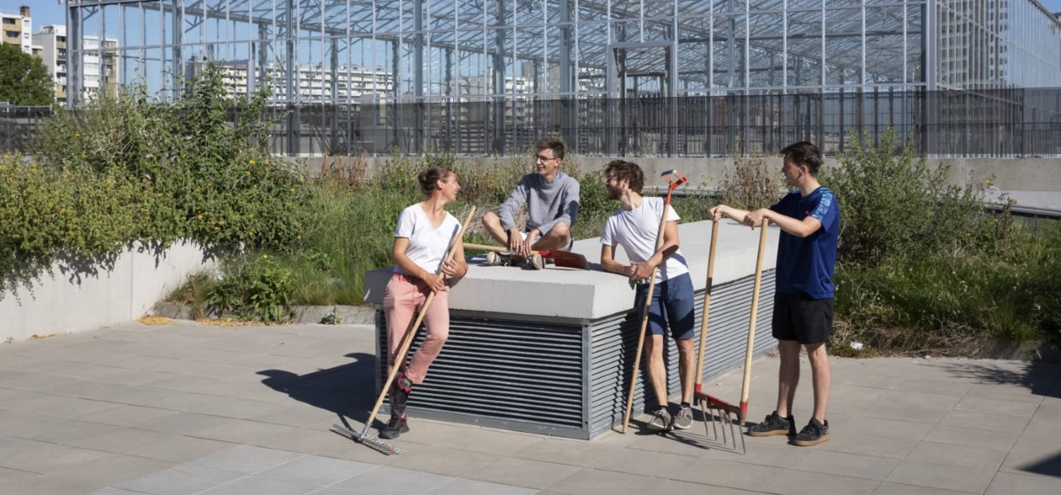 Sur le toit de l’hôtel logistique, l'une des plus grandes fermes urbaines du Grand Paris permet de produire légumes et fruits frais pour les habitant du quartier Chapelle.